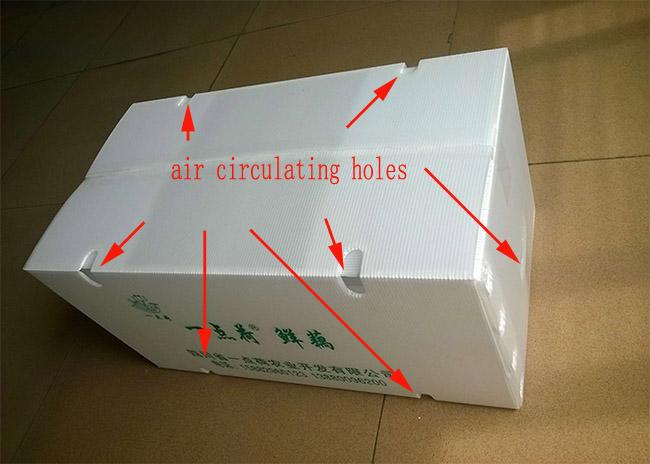 야채 수송을 위한 공기 회람 구멍을 가진 접을 수 있는 플라스틱 상자
