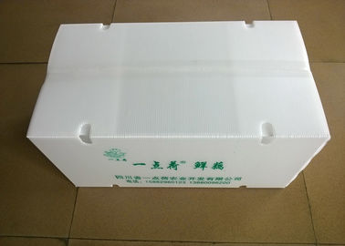야채 수송을 위한 공기 회람 구멍을 가진 접을 수 있는 플라스틱 상자