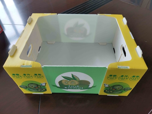 재사용 가능한 플라스틱 과일 상자