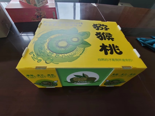 재사용 가능한 플라스틱 과일 상자