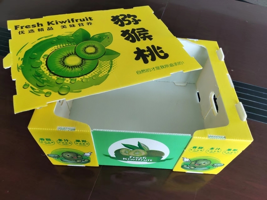 재사용 가능한 플라스틱 과일 상자